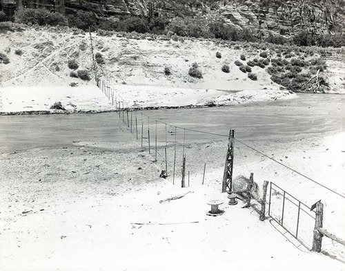 Hop Valley drift fence as evidence of stock trespass.