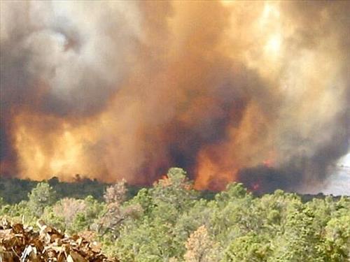 Full fire with black smoke in wooded areas during Long Mesa Fire at Mesa Verde National Park, July 29-Aug. 4, 2002