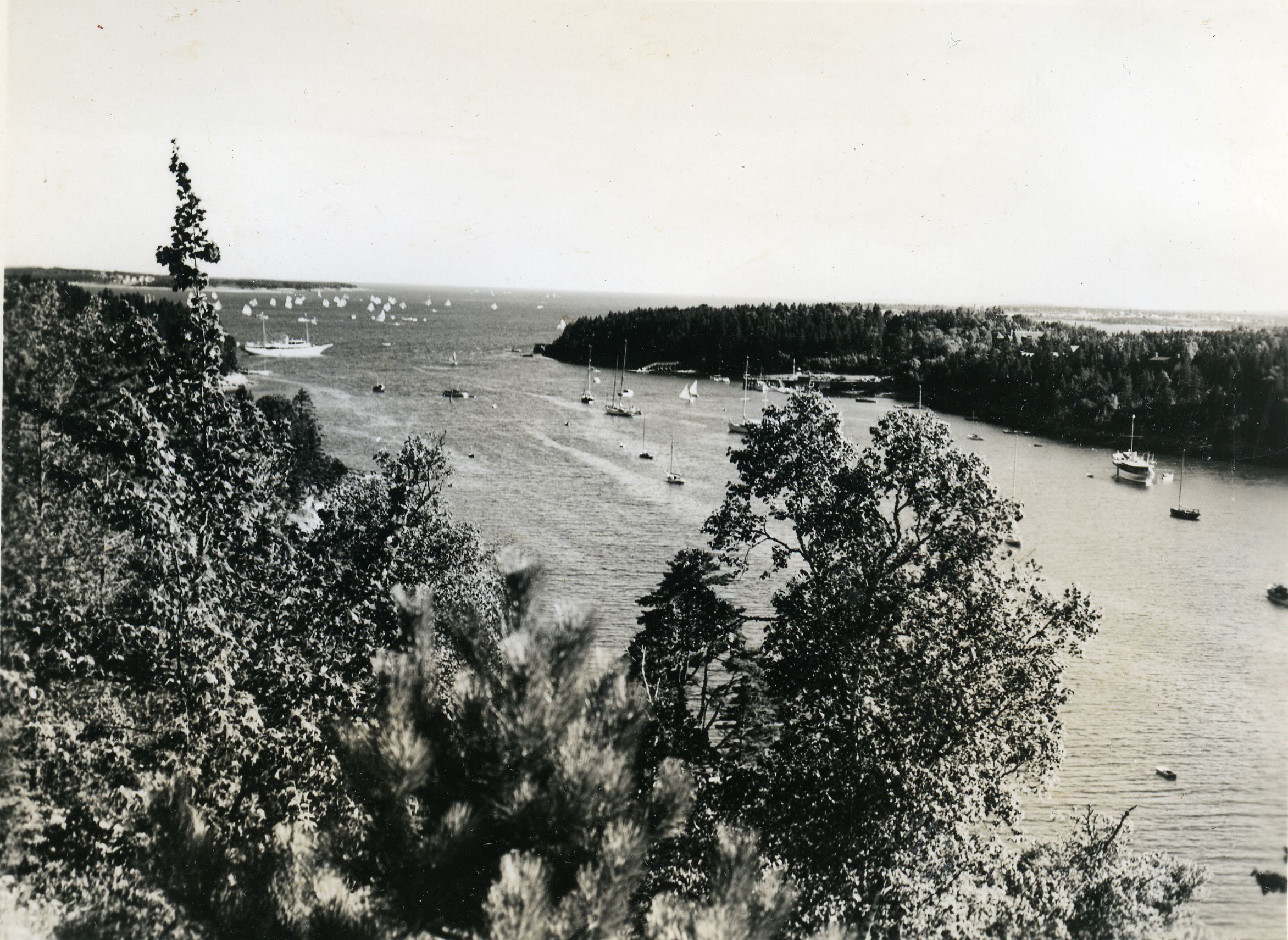 SAILBOATS FROM ASTICOU TERRACES