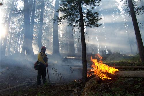 Slide wildfire used for resource benefit, Sequoia and Kings Canyon National Parks, 2002