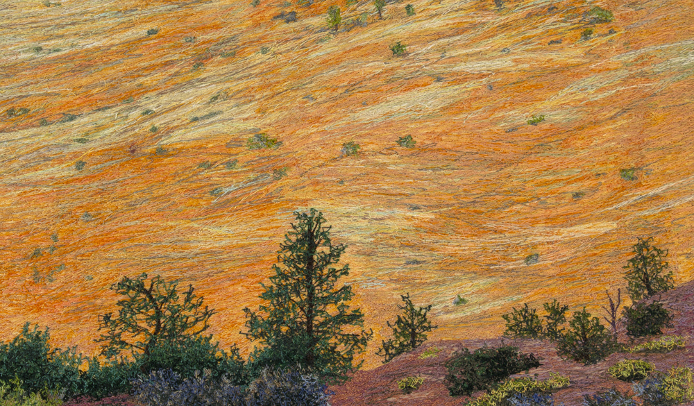 An image created using colored thread and fabric. The majority of the image shows a gradually sloping sandstone landscape. The stone surfaced is orange, yellow, and white in color. Small shrubs dot the landscape sparingly. In the foreground, a few evergreen trees stand among the rocky landscape. A few yellow flowers are seen in the shade.