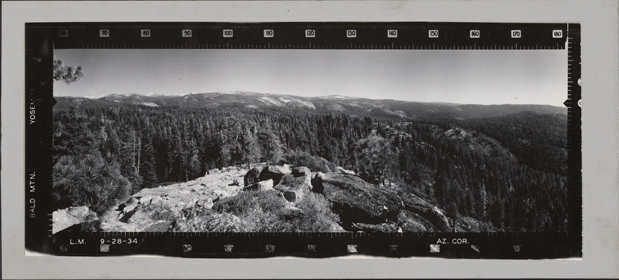 Bald Mtn.