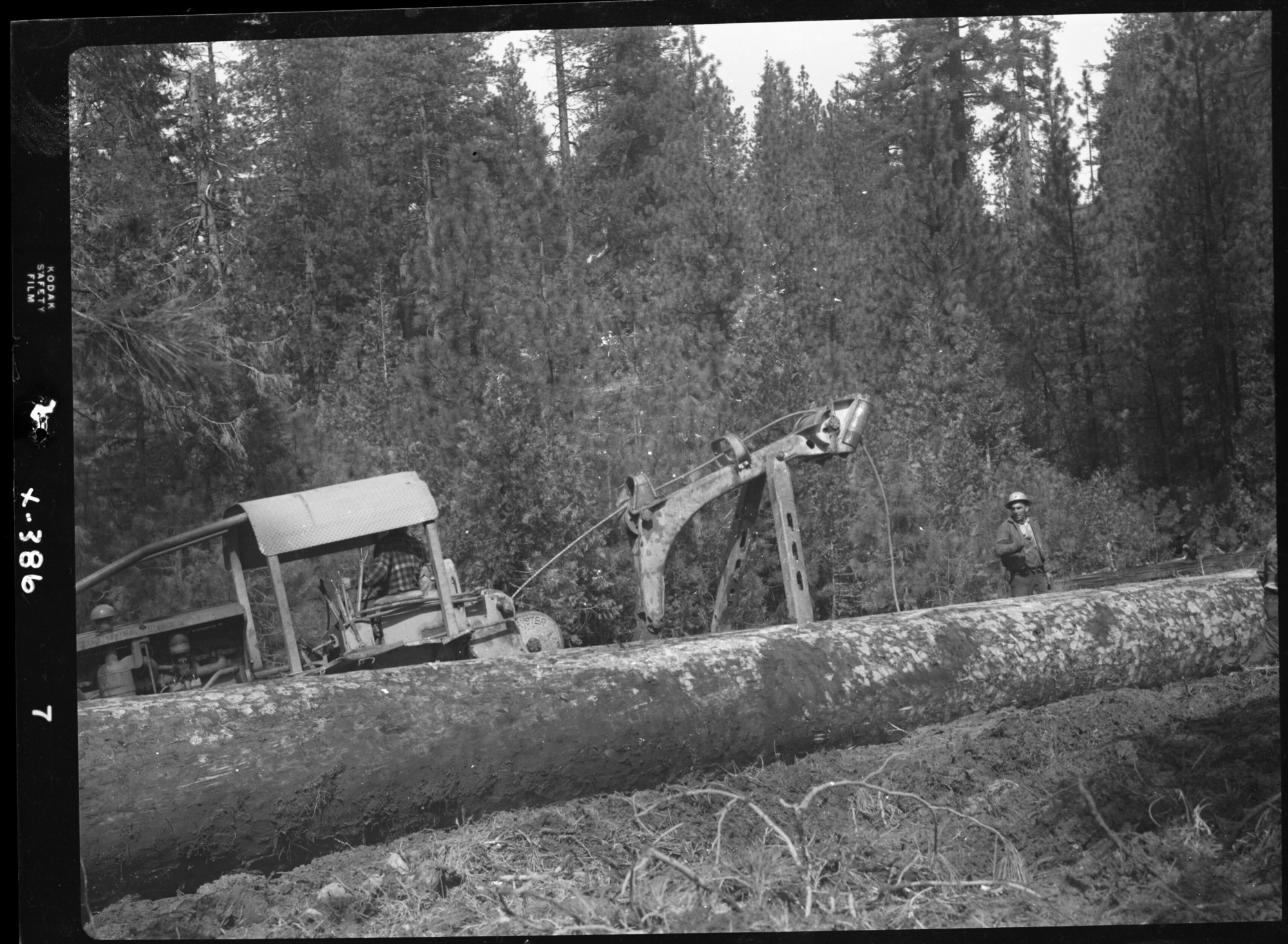 Logging Timber for Bridge.