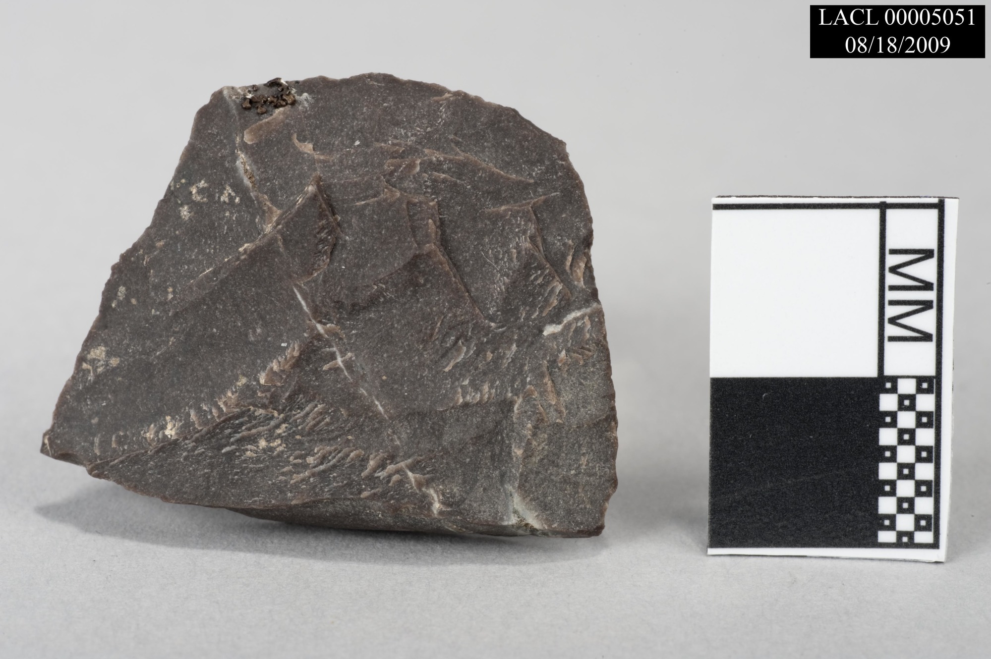 Image of stone biface fragment.