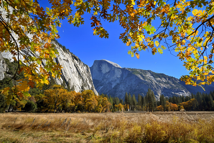 Mountains seen through tree leaves. Trees displaying yellow, green, and brown fall colors. Grass is brown, and sky is blue.
