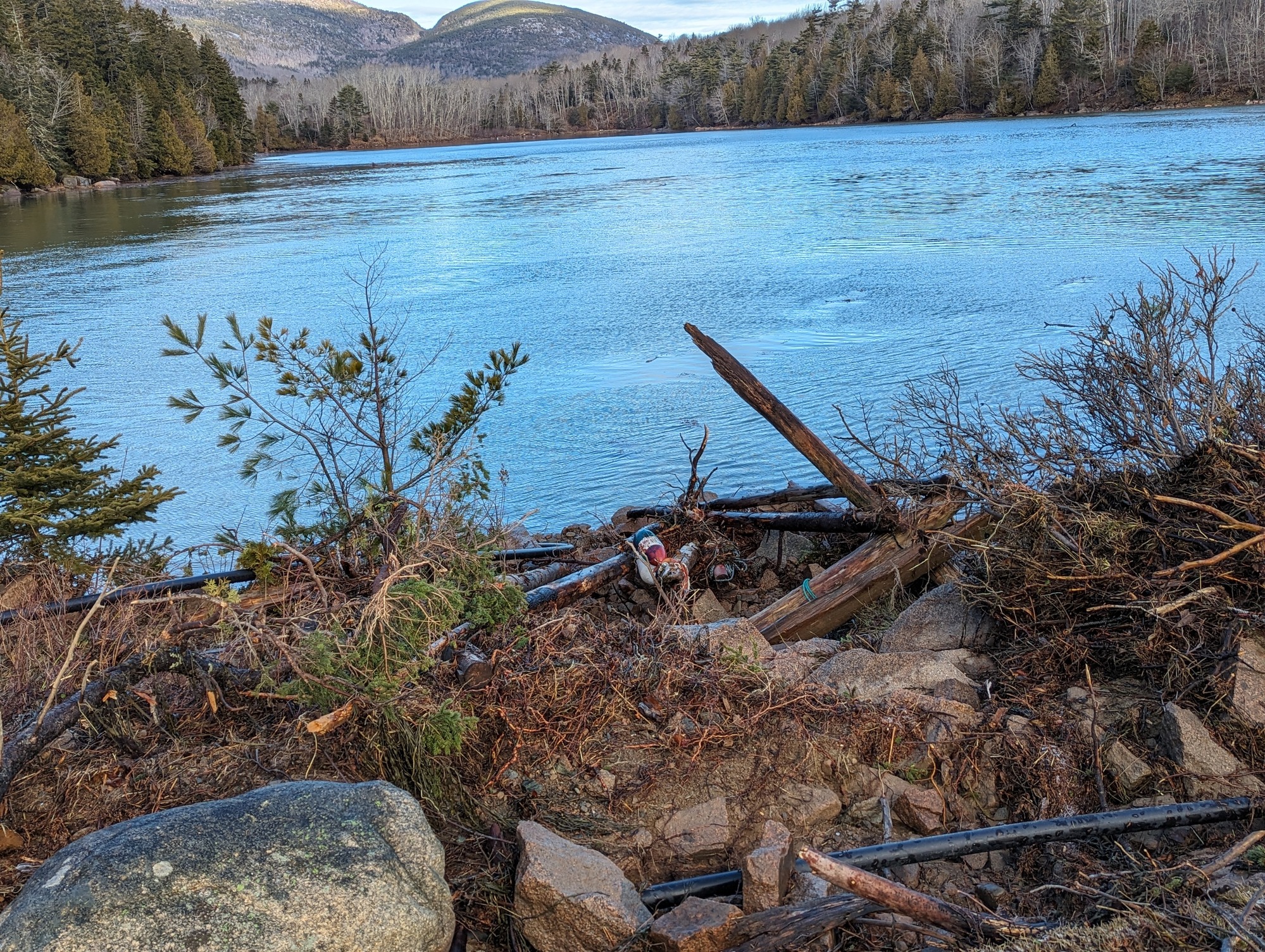 Body of water surrounded by mountains, there is debris and damaged foliage in the foreground. 
