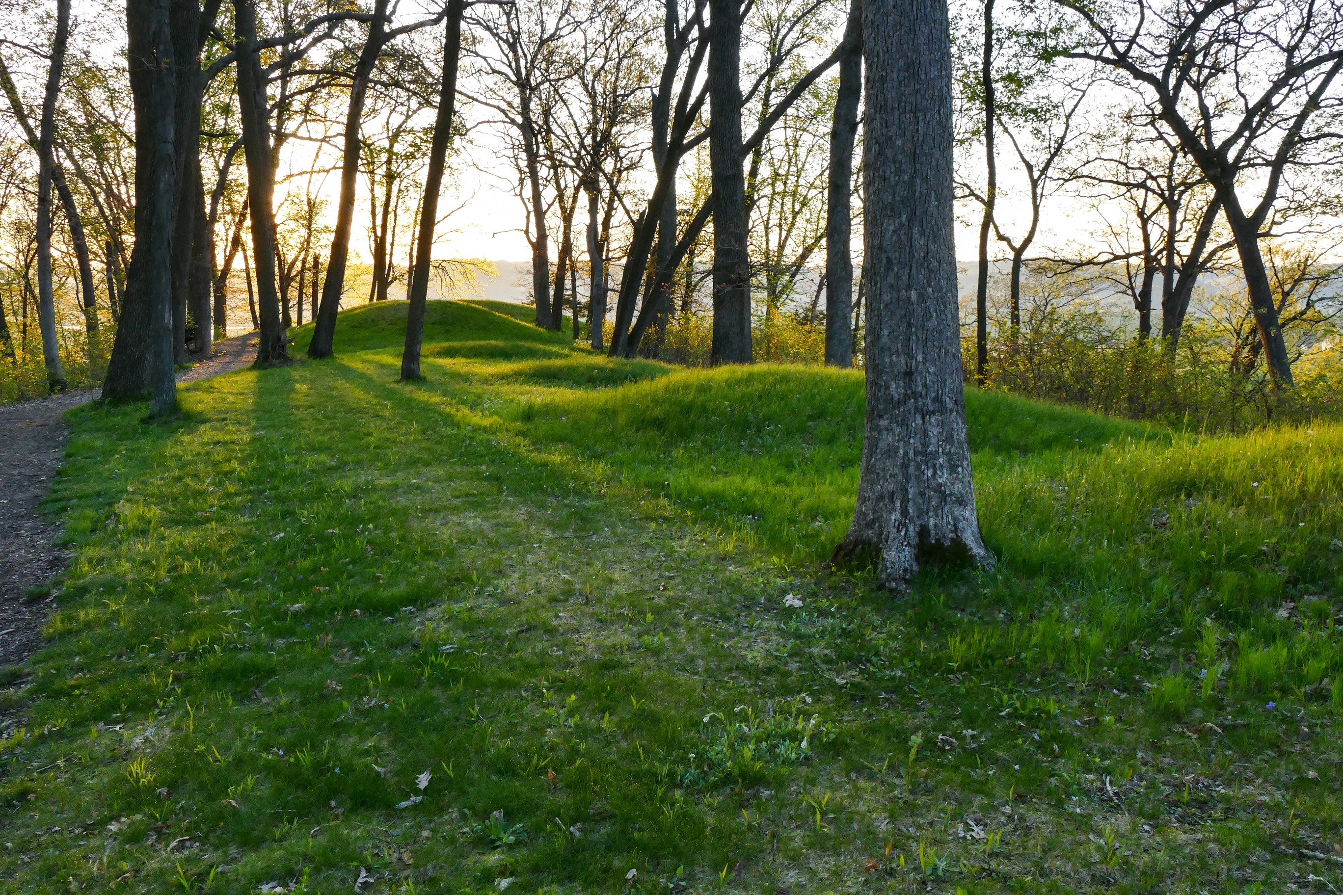 Sunrise illuminating burial mounds along a ridgeline. 
