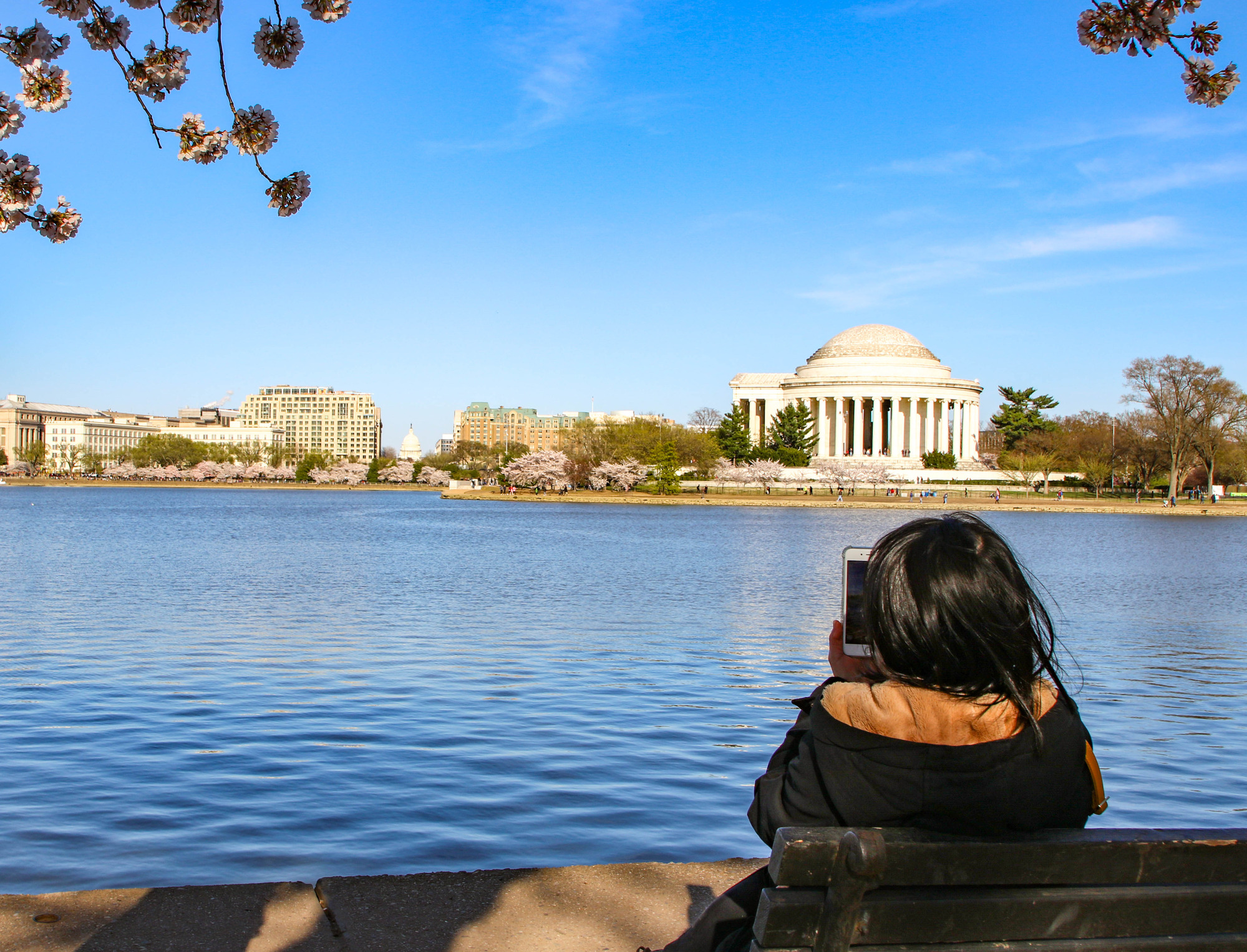 Visitor taking a picture of the Thomas Jefferson Memorial while sitting on a bench