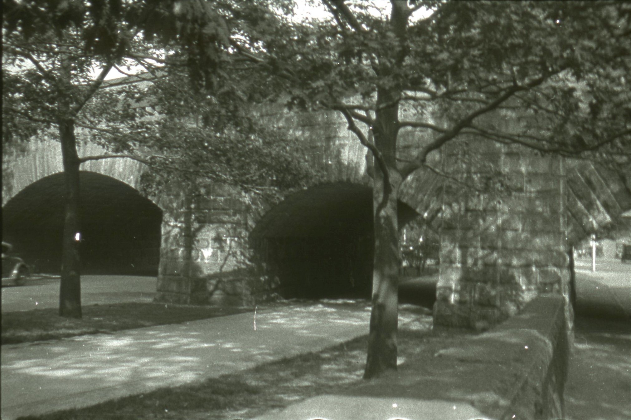 Black and white of stone bridge with tree arches, trees lining each path. 