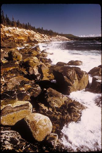 Acadia National Park, Maine