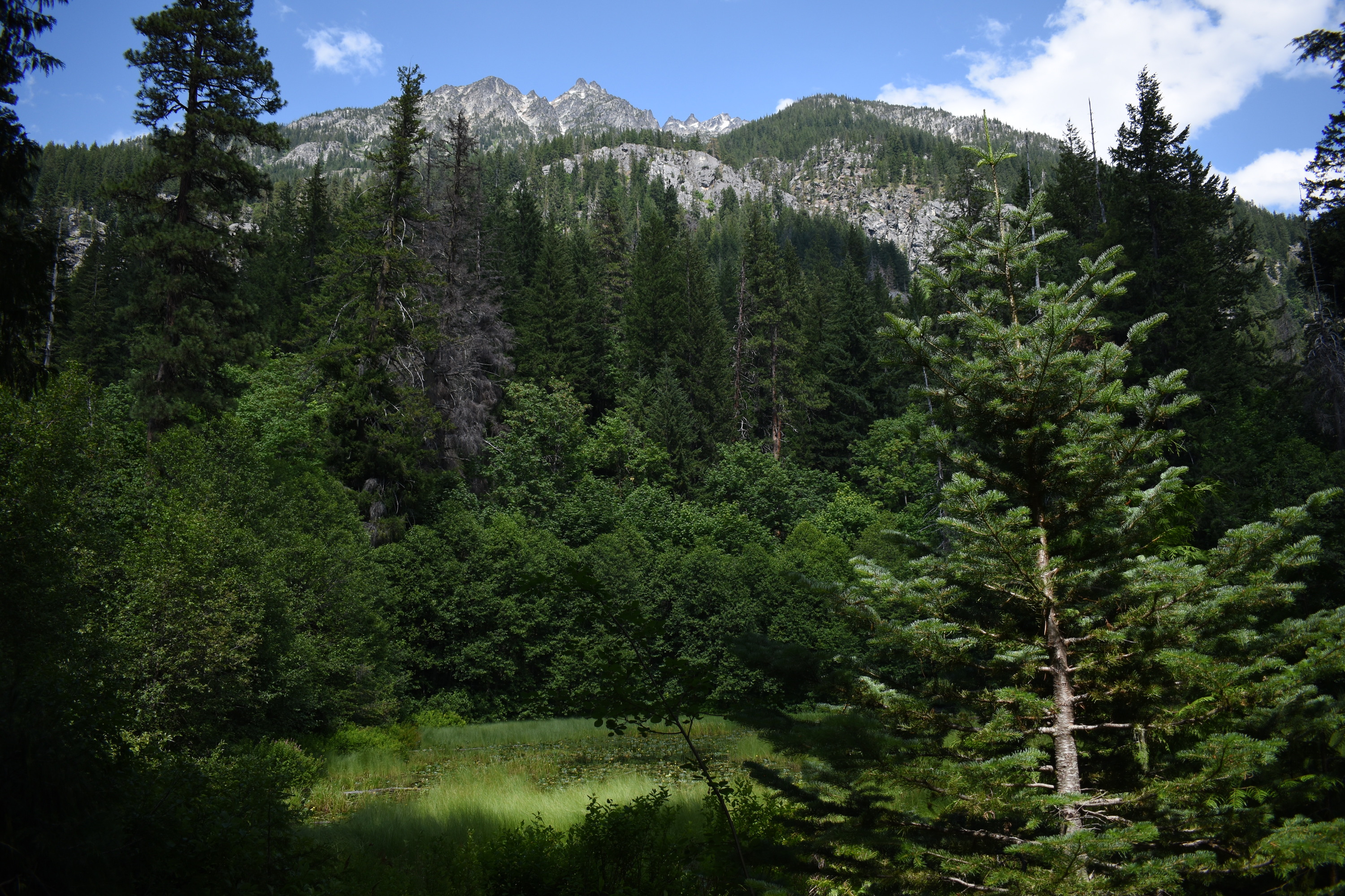 A rocky mountain rises about a forest and green meadow.