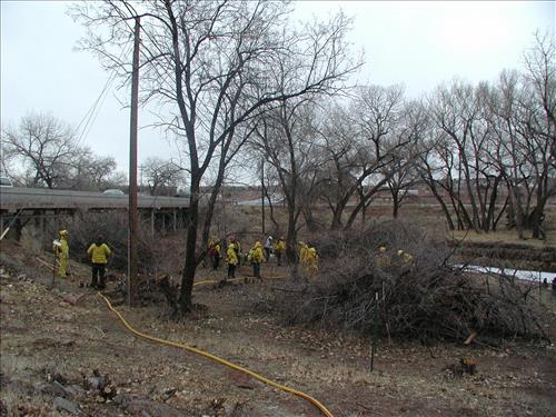 Hubbell Trading Post Exotic Species Pile Burning, February 2002