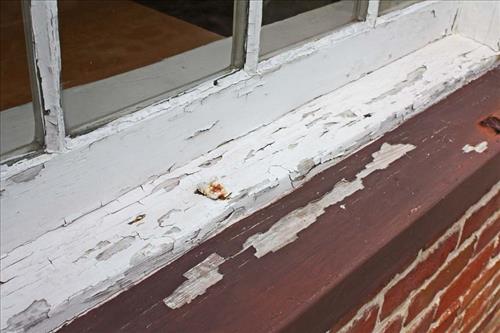 Peeling Paint on the Melrose Kitchen and Dairy Dependencies, January 2012