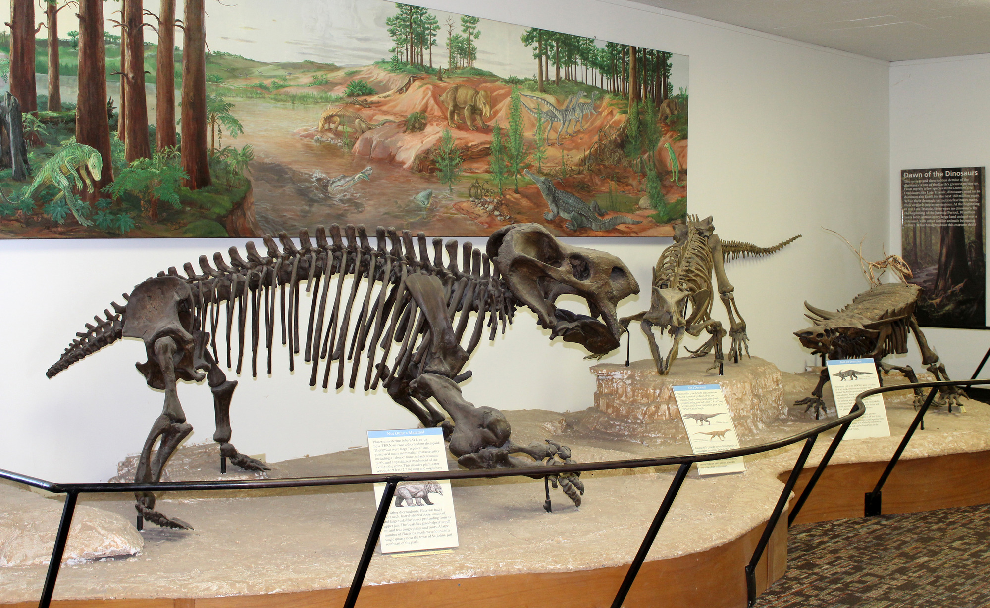 Giant reptile cast diorama at the Rainbow Forest Museum including placerias, postosuchus, and aetosaur in front of historic mural by Margaret Colbert.
