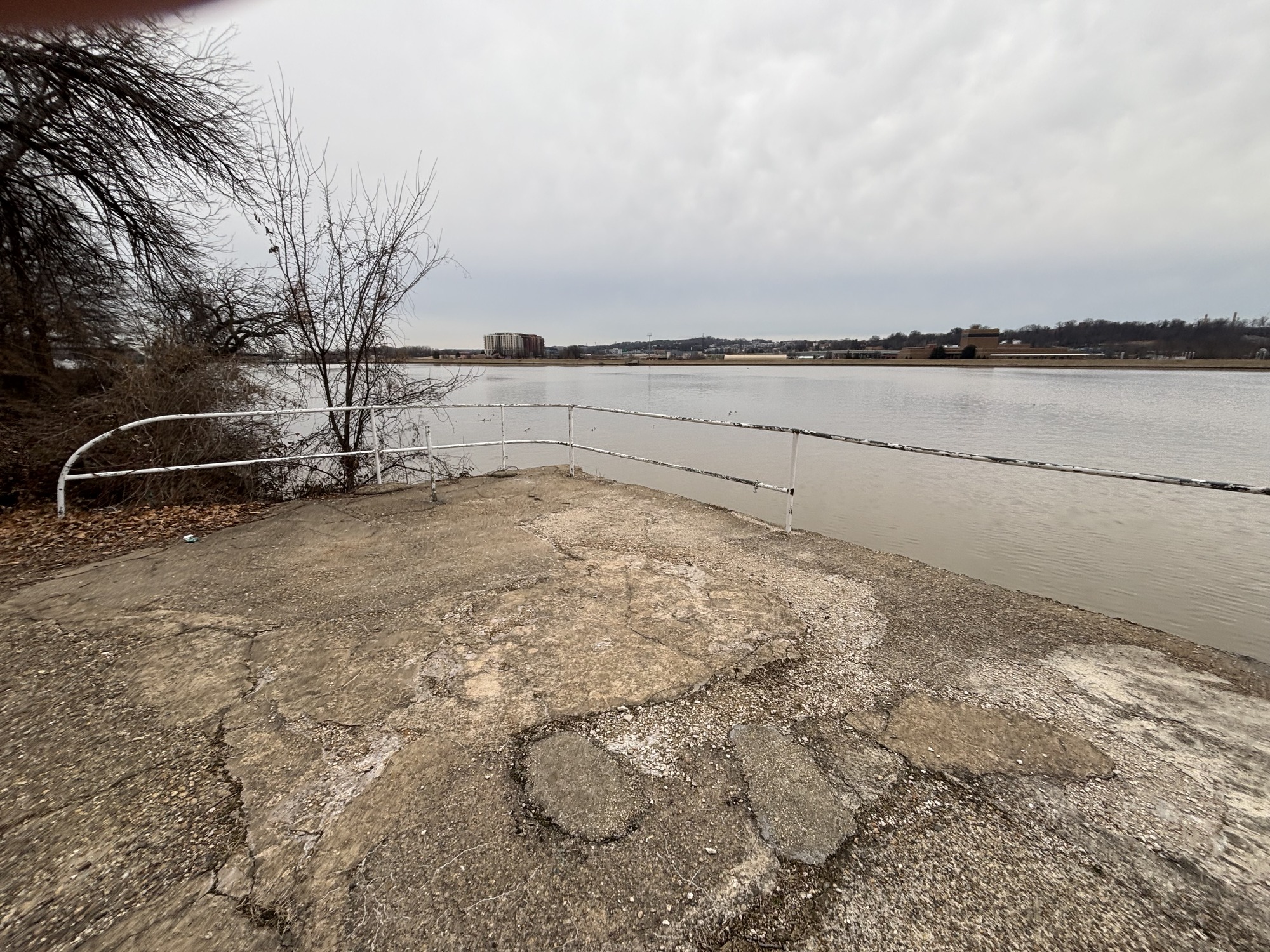 BUZZARD POINT PARK Landscape 