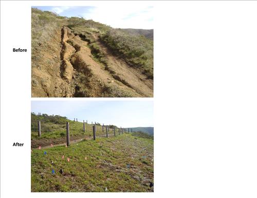 Realignment of Dias Ridge Trail