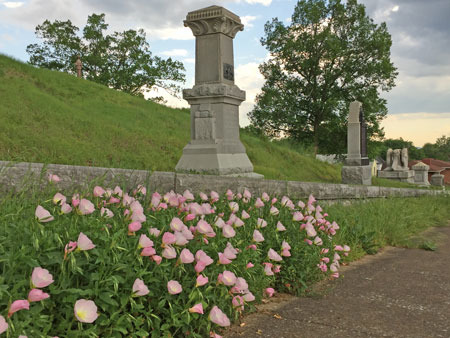 Pink flowers on a green hillside in front of Civil War monuments
