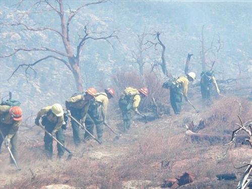 Fire fighters working on fire lines during the Long Mesa Fire, Mesa Verde National Park, July-August 2002
