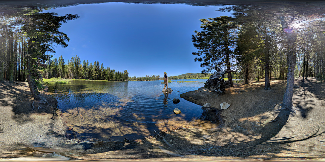 A 360-degree photo from tree-lined trail on the edge of a lake.