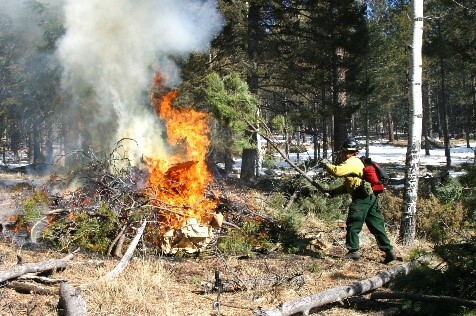 A wildland firefighter wearing protective gear adds a tree limb to a burning pile of brush.