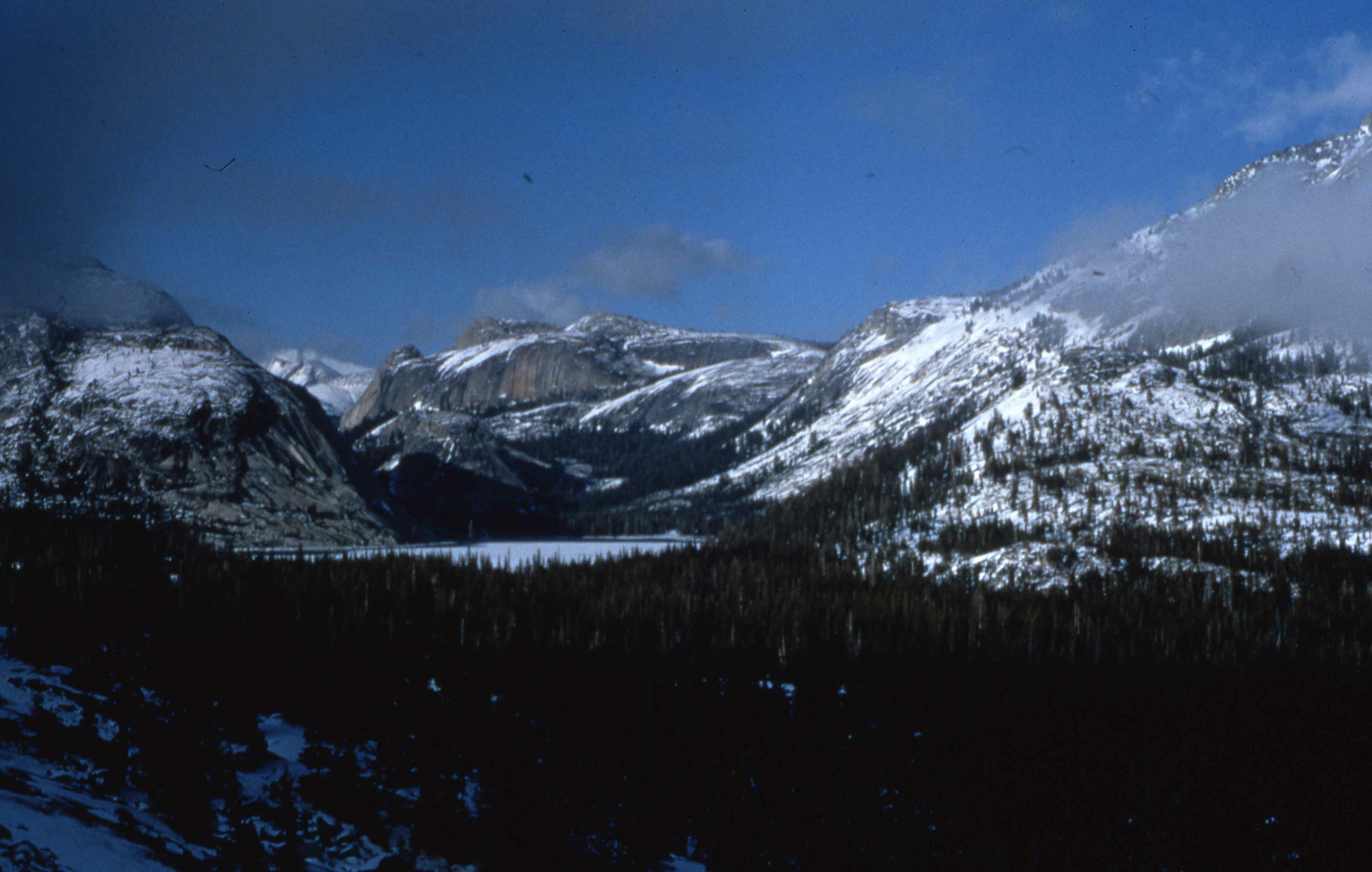 Tenaya Lake