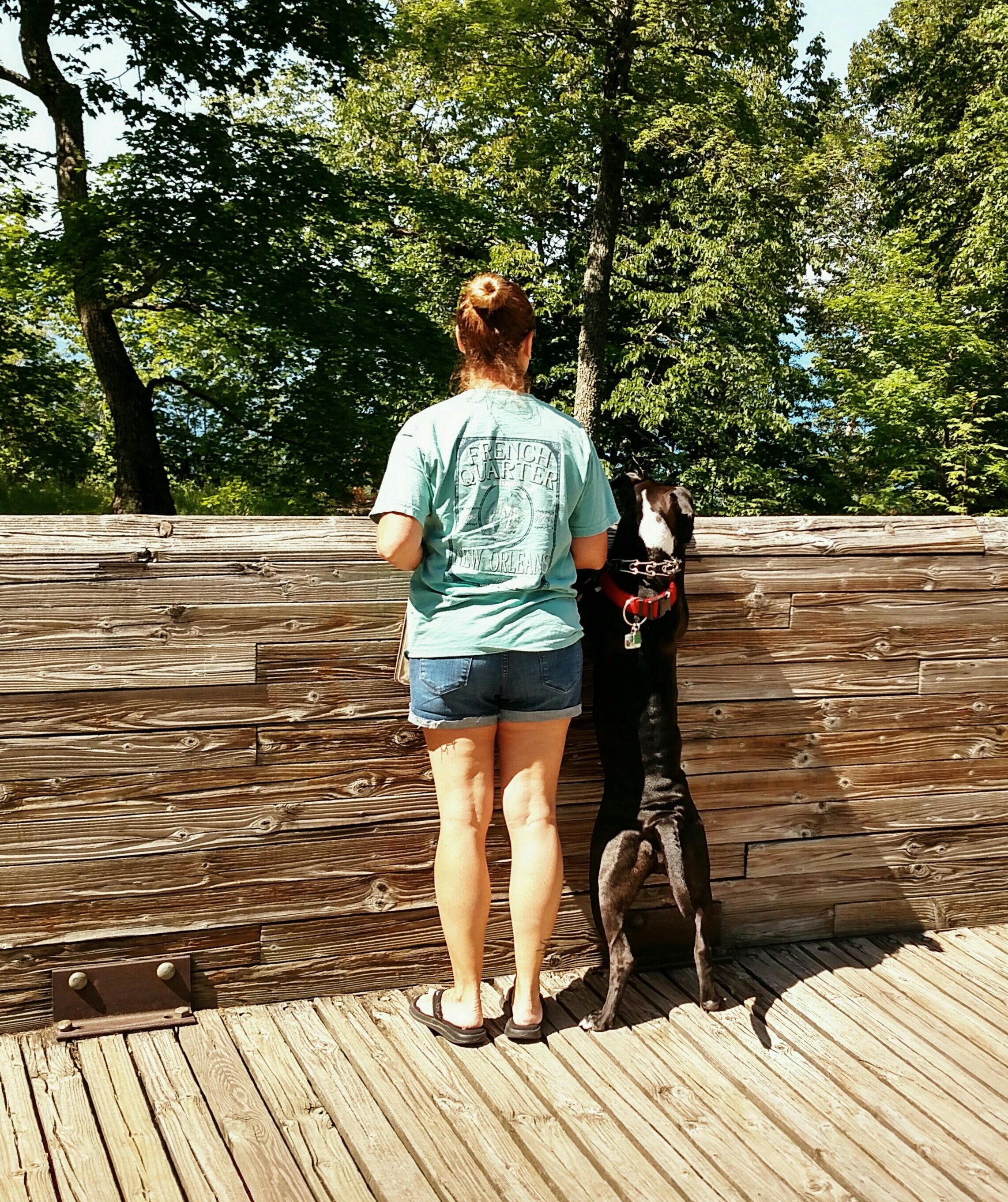 Person and Dog Enjoying the View at Miners Castle