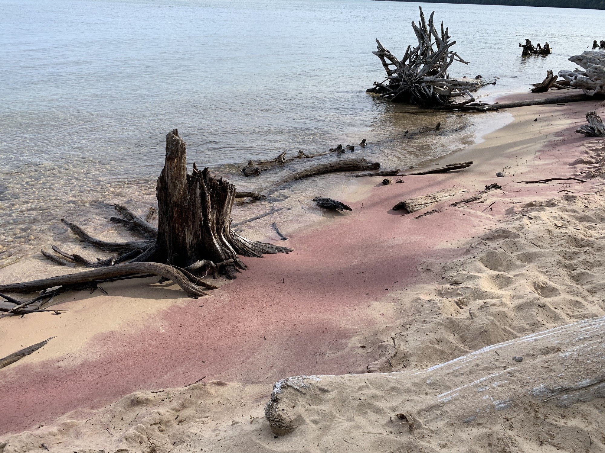 Pink sand visible at the shoreline. Old tree trunks are shattered about.