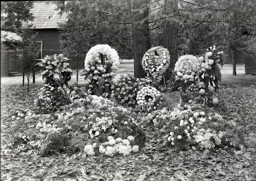 Gabriel Sovulewski died 11/29/38. Mrs. Sovulewski died in August 1928.