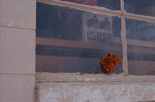 BADL - Cyclic Projects - Parkwide