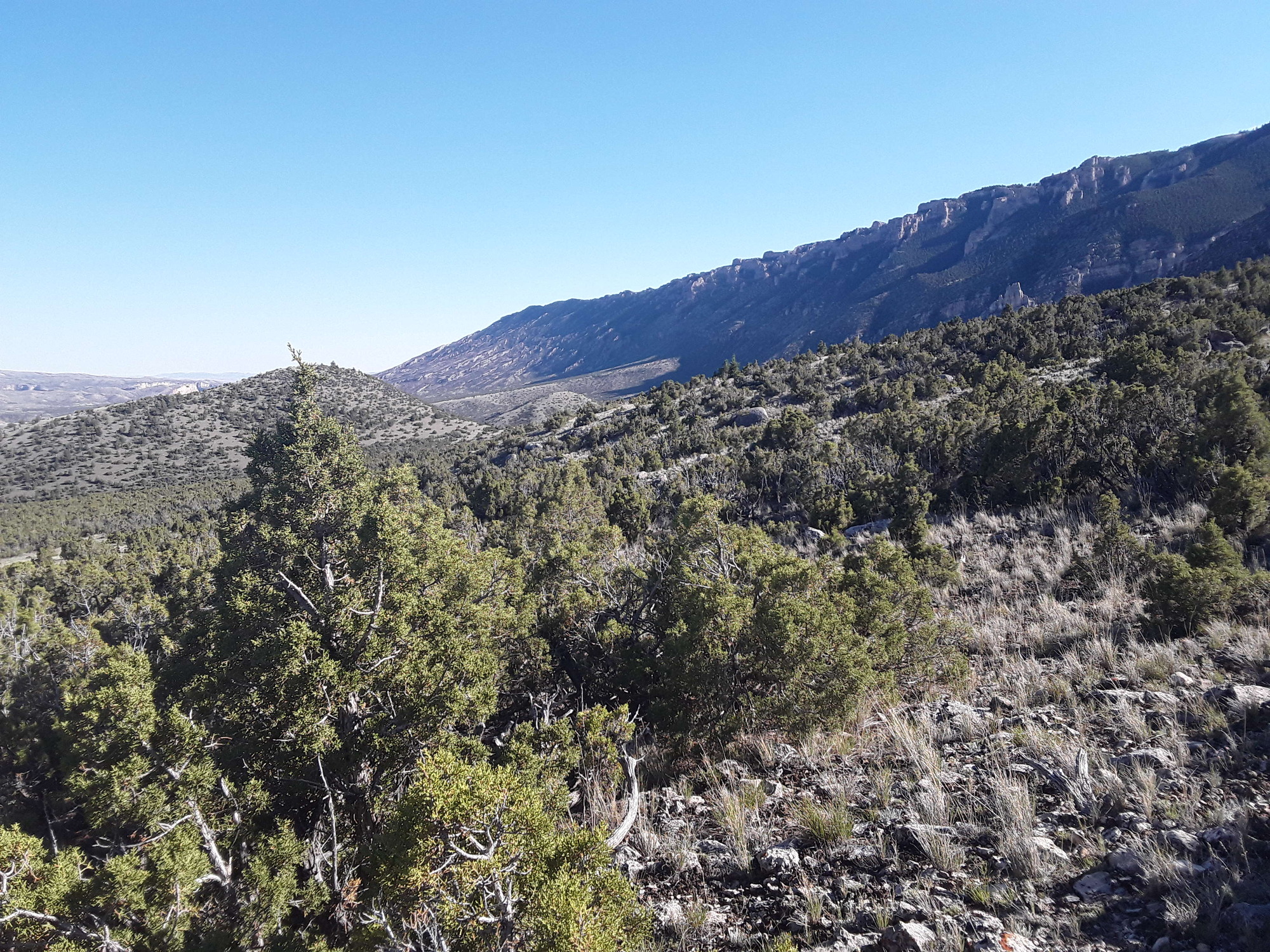 Image of the vegetation and landscape at photo point in Bighorn Canyon NRA.