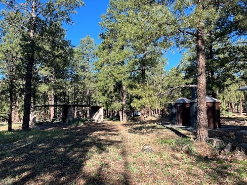 A campground within a ponderosa pine forest, with two pit toilets and a picnic shelter nearby.