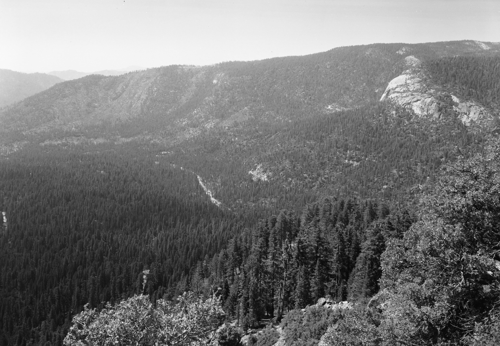 Looking down on Section 35 at Wawona from Wawona Point.