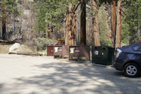 In Left to right order , a trashcan, a bear box, a bear box, and a recycling can are resting in front of a small stand of trees. 