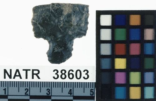 NATR   38603 -- Untyped projectile point