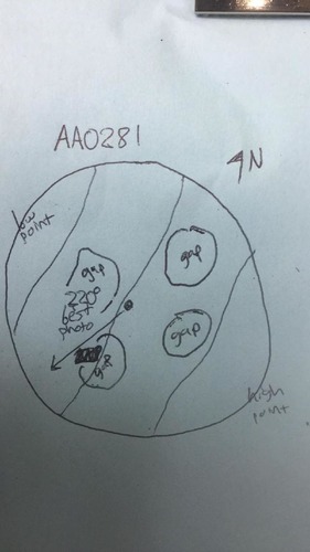 GRSM Accuracy Assessment. Plot Code: GRSM_AA_0281_map
