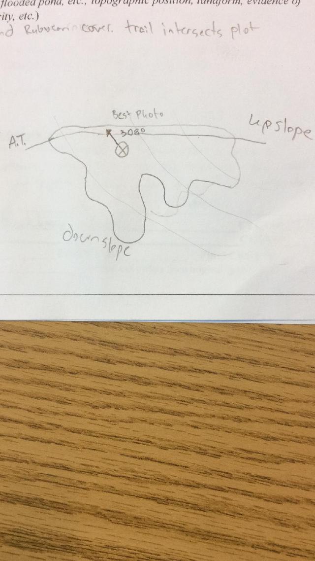GRSM Accuracy Assessment. Plot Code: GRSM_AA_0015_map