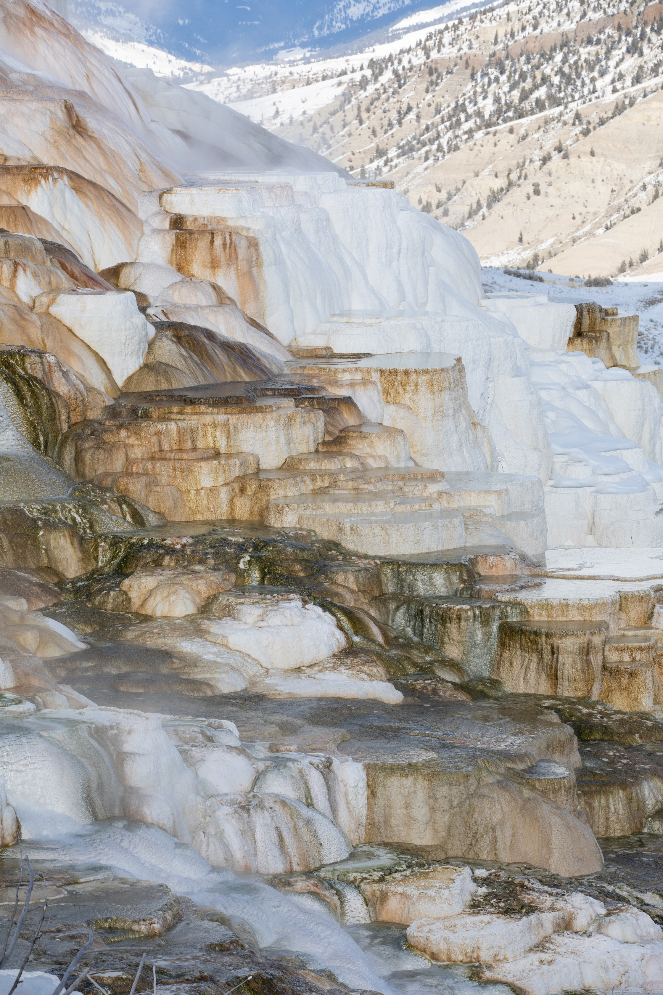 Hot water flows over travertine terraces.