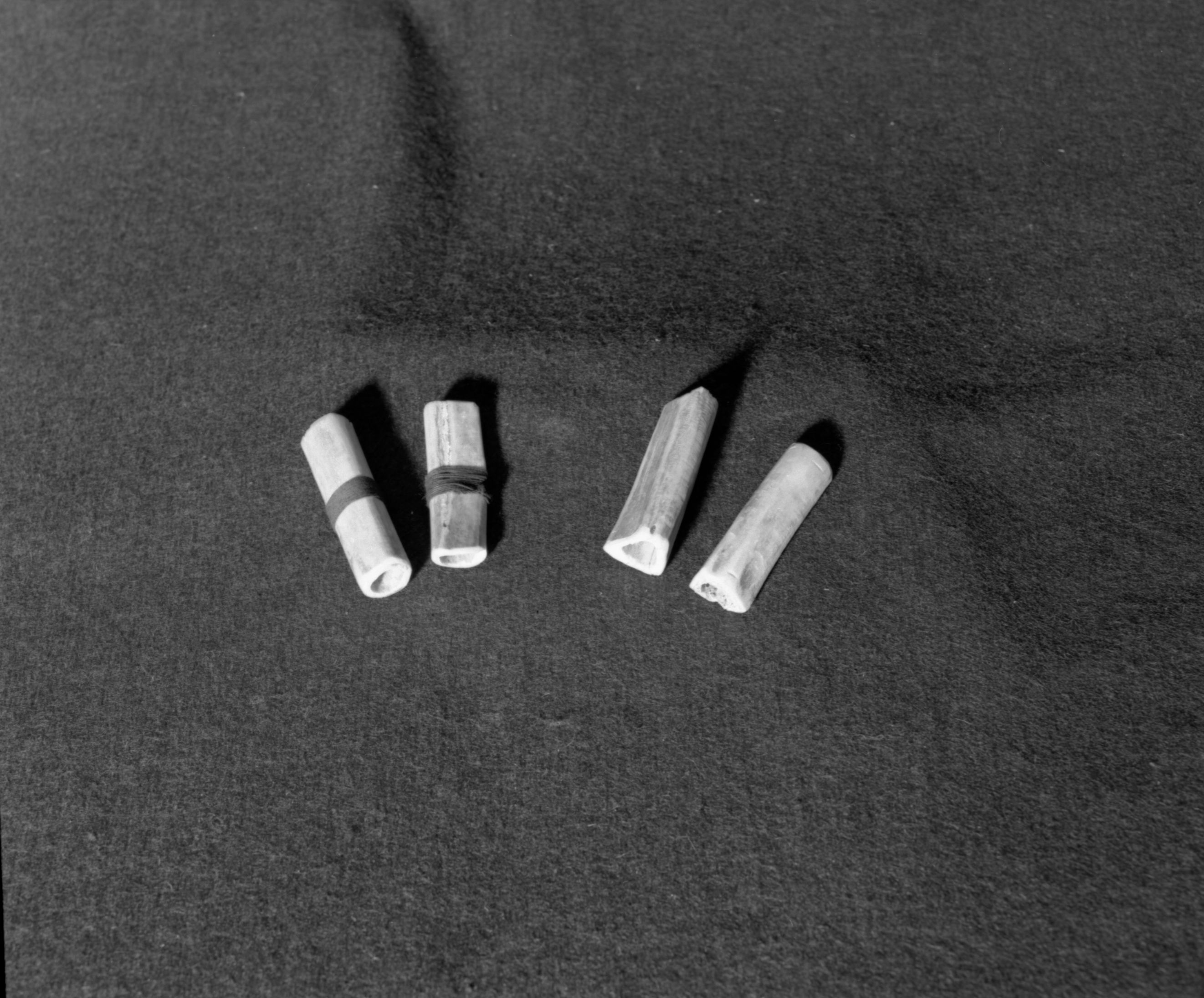 Marie Rozier Collection, Catalog No. 191. Object: Miwok gambling bones. Dimensions: 4 pieces, average 2 1/2" long. Materials: Bones, black thread. Collection History: Made by Craig Bates under instruction of John Kelly, 1968. Photographed by Michael Dixon in December 1982. Catalogued by Craig Bates and Barbara Beroza. Yosemite Collections, National Park Service.