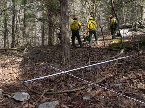 Fire effects monitoring on Jim Lee Prescribed burn, Mammoth Cave National Park, 2004