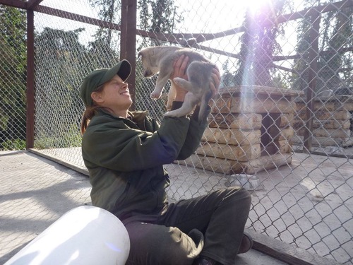 a ranger holding a puppy