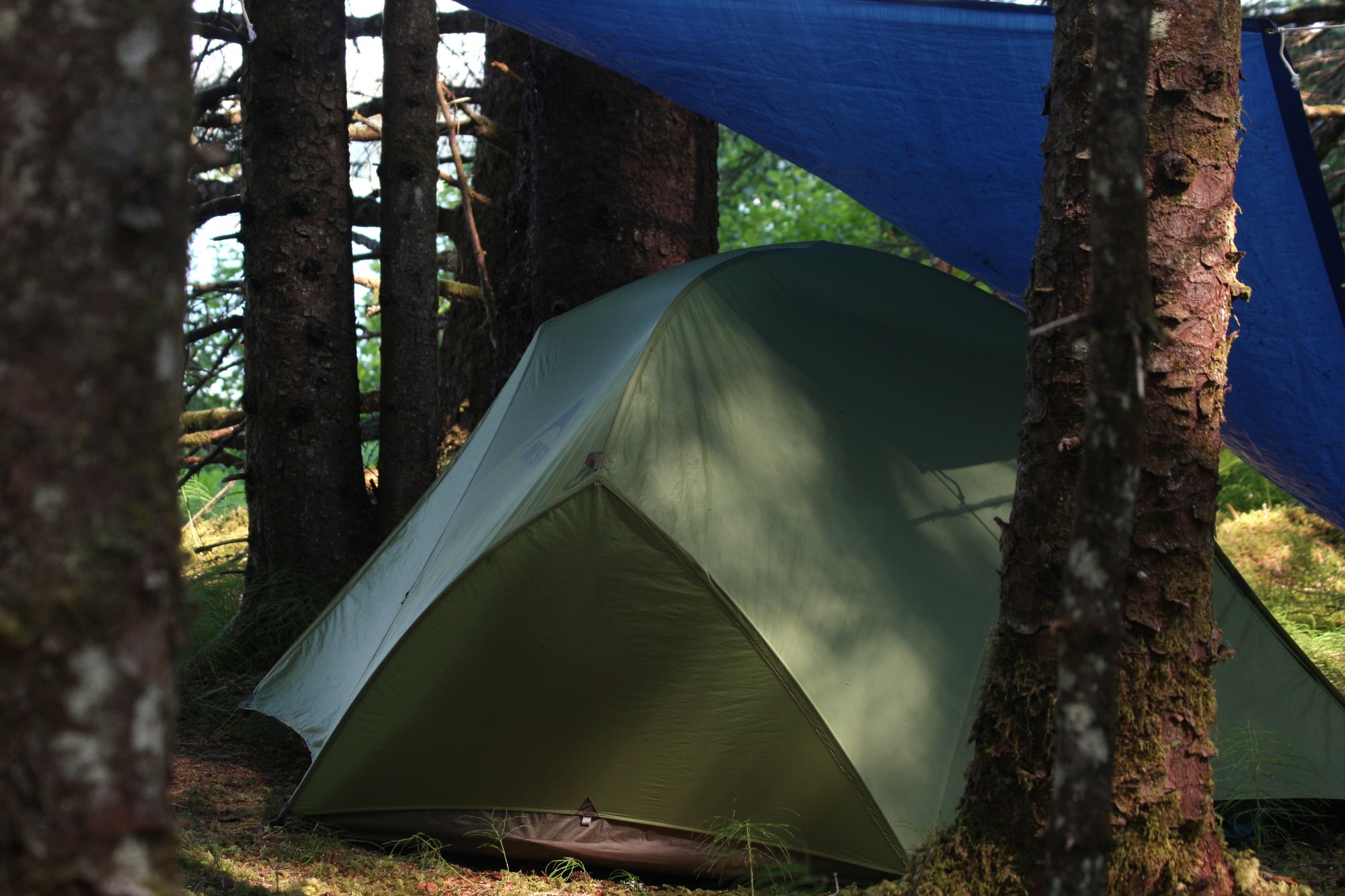 A green tent with a blue tarp above it sits between trees.