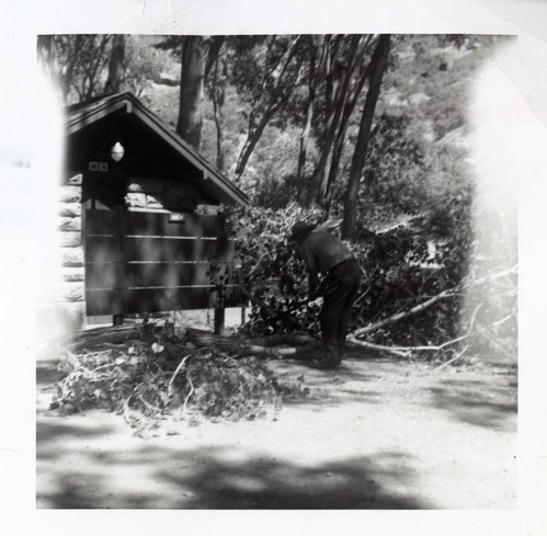 NPS employees clearing and removing brush.