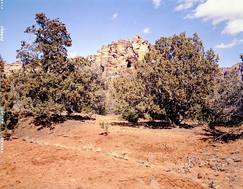 Color Photos of Zion Canyon - 4x5.