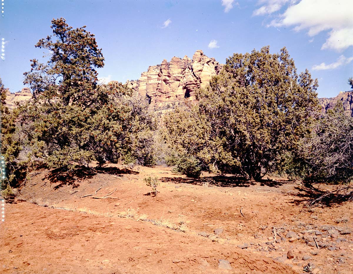 Color Photos of Zion Canyon - 4x5.
