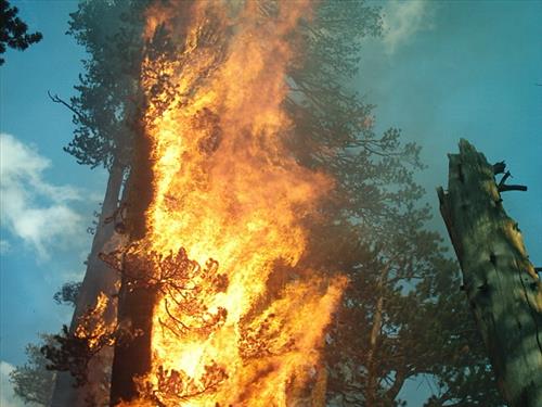 McClure wildfire used for resource benefit, Sequoia and Kings Canyon National Parks, summer 2004