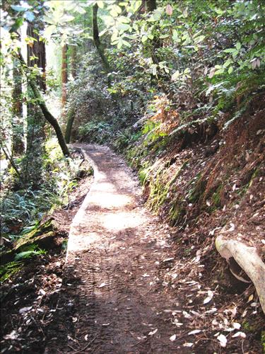 Rec Fee Project: Rehabilitate Notch, Muir Beach Overlook, & Hillside Trails