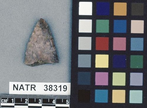 NATR   38319 -- Untyped projectile point