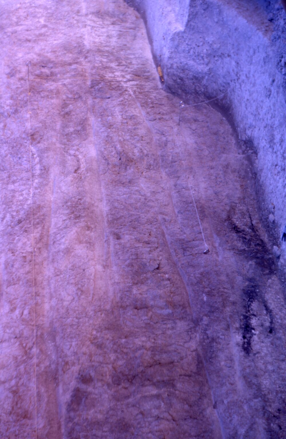 Image of cut trench