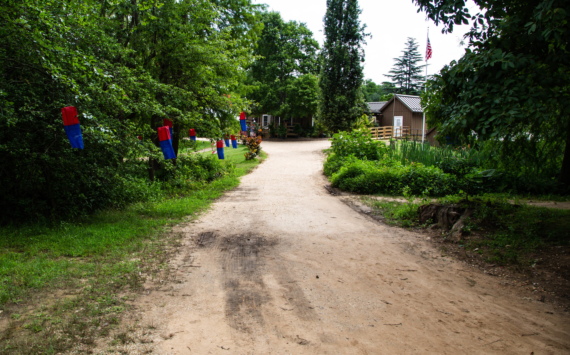 Blue and red decorations hanging from trees linking a path to the visitor center
