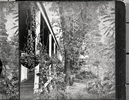 Detail of RL-16,490. Caption: "View from the Cosmopolitan. Yosemite Valley, Mariposa, Cal. 3025." Sign on distant building: "Stegman & Son." Copy Neg: July 1985 by Michael Dixon